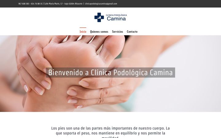 Screenshot of caminaclinicapodologica.com