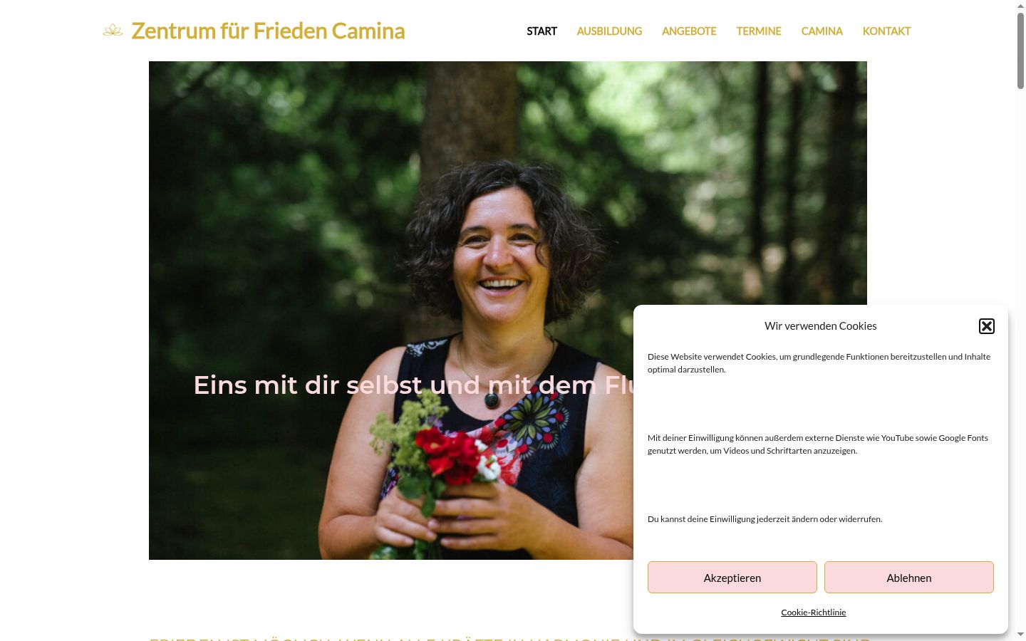 Sutikimo reklamjuostės, rodytos prieš bet kokią sąveiką, ekrano kopija