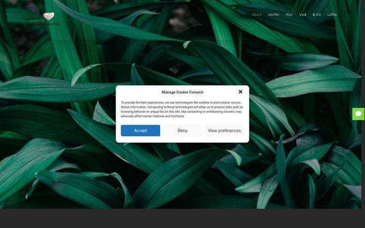 Screenshot of caminero.se