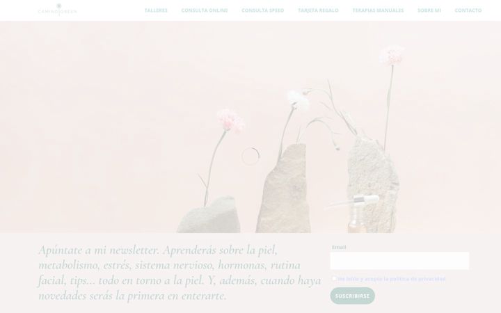 Screenshot of caminogreen.es