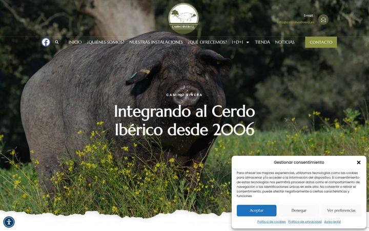 Screenshot of caminorivera.es