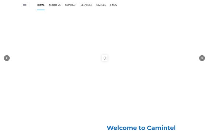 Екранна снимка на camintel.com