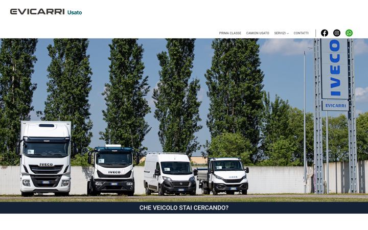 Screenshot von camionusato.net