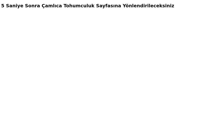 Screenshot of camlicatohumculuk.com.tr