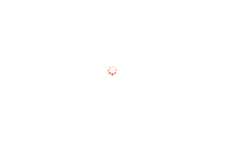 Screenshot von camline.fi