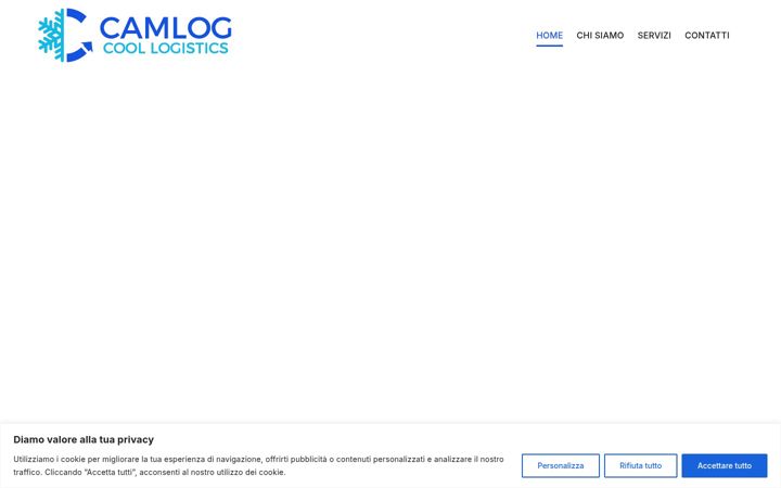 Screenshot of camlogsrl.com