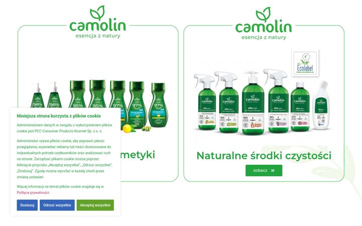 Screenshot of camolin.eu