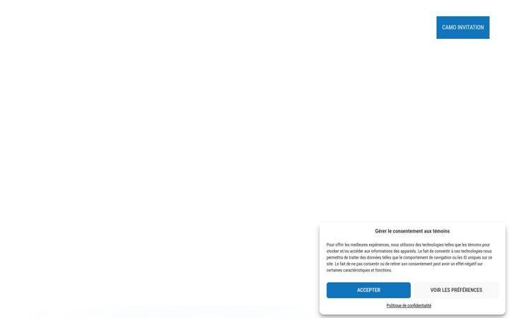Screenshot di camoplongeon.ca