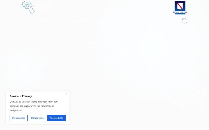 Screenshot of campaniaintelligente4puntozero.it
