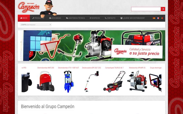 Screenshot of campeongroup.es
