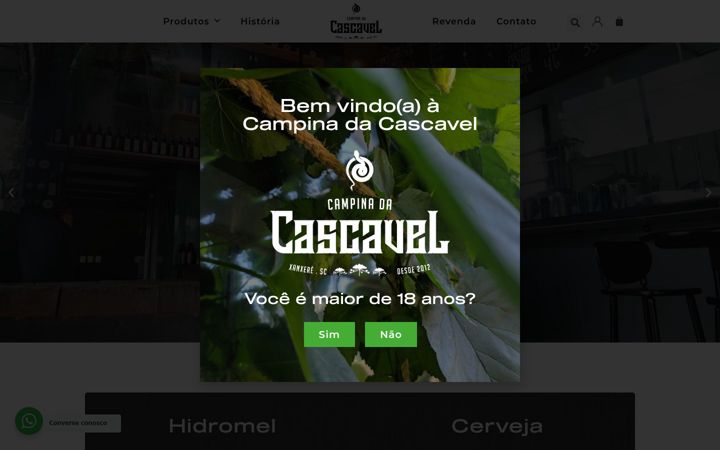 Screenshot stránky campinadacascavel.com.br