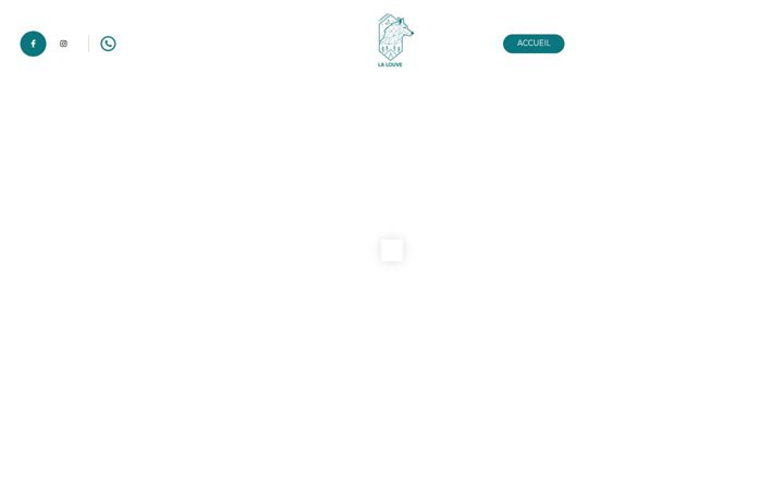Screenshot of camping-la-louve.com