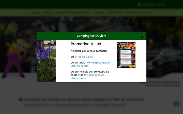 Screenshot of camping-lesoliviers.com