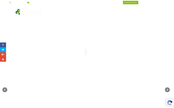 Screenshot of camping-villasol.com