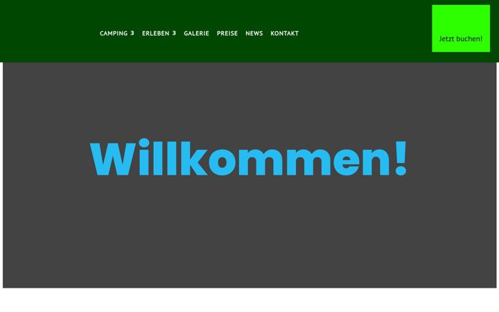 Screenshot ta' camping-waldberg.de