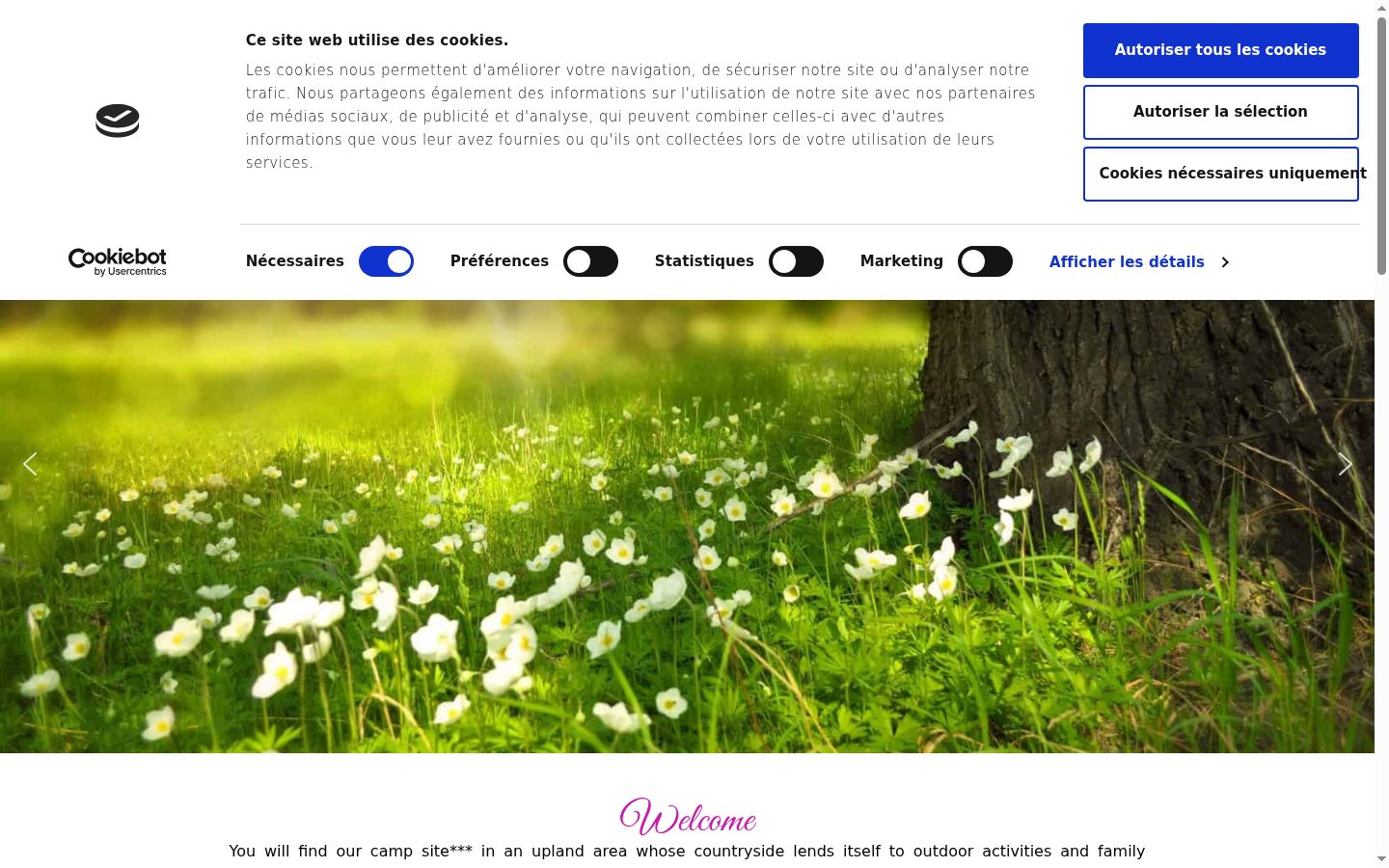 Screenshot des Einwilligungsbanners vor jeglicher Interaktion