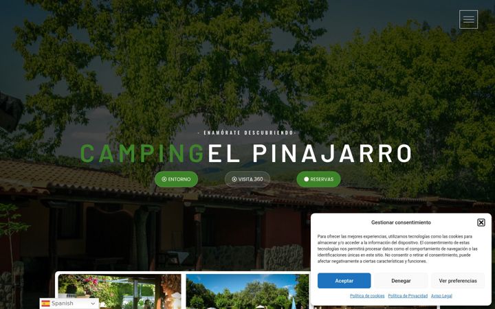 Screenshot of campingelpinajarro360.es