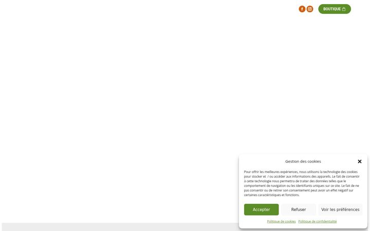 Screenshot von campinglesboudougnes.fr