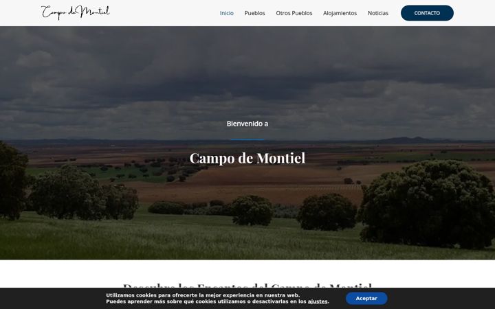 Screenshot of campodemontielinfo.com