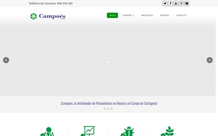Screenshot of campoes.es
