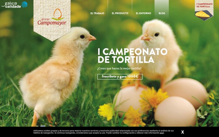 Screenshot of campomayor.es