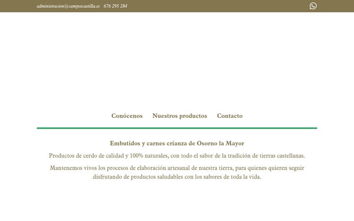 Screenshot stránky camposcastilla.es