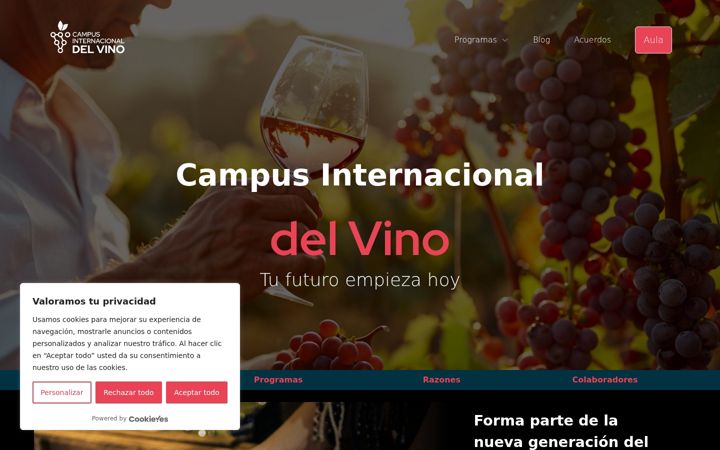 Screenshot of campusdelvino.com