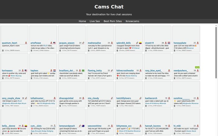 Screenshot of camschat.net