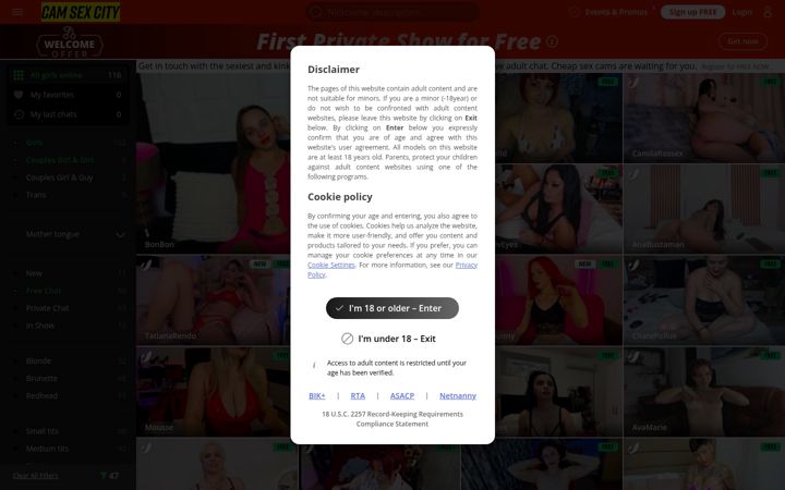 Screenshot of camsexcity.com