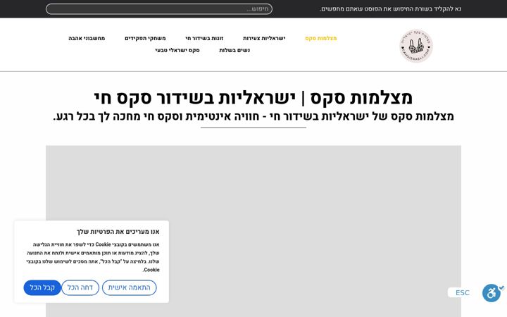 Screenshot of camsisraeli.com