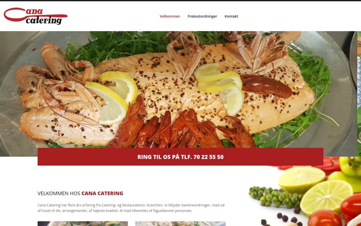 Screenshot of canacatering.dk
