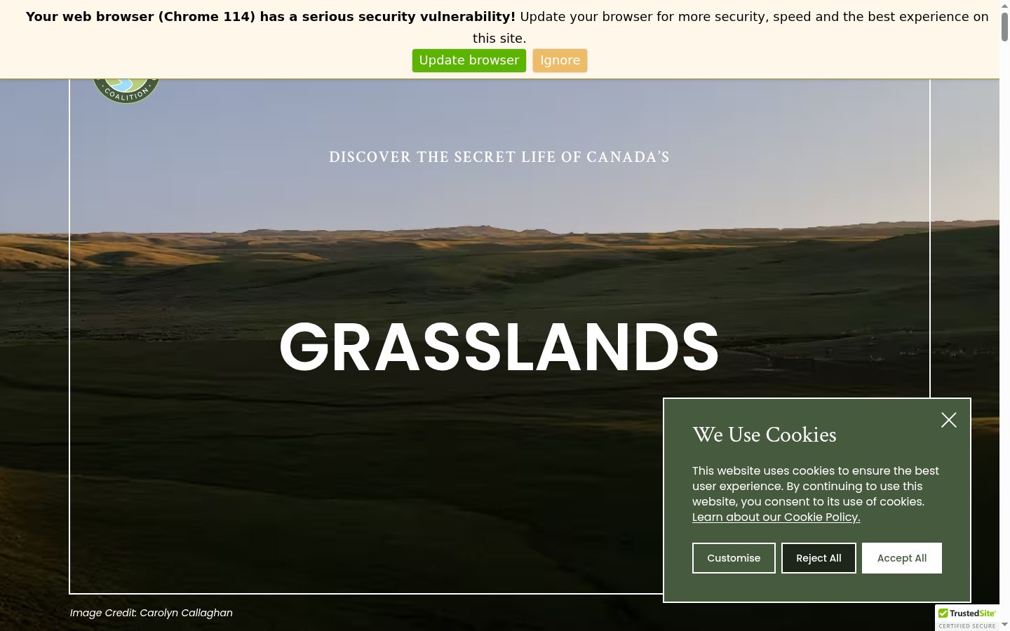 Screenshot of the consent banner shown before any interaction
