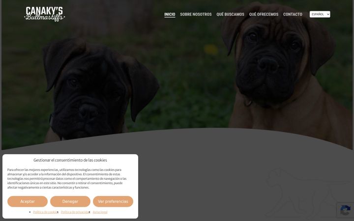 Screenshot of canaky.com