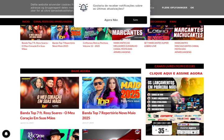 Screenshot of canalfestadasaparelhagens.com