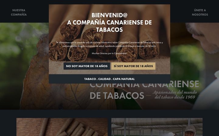 Screenshot of canariense.com