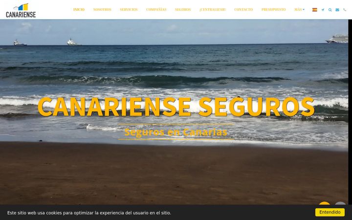 Screenshot of canarienseseguros.com