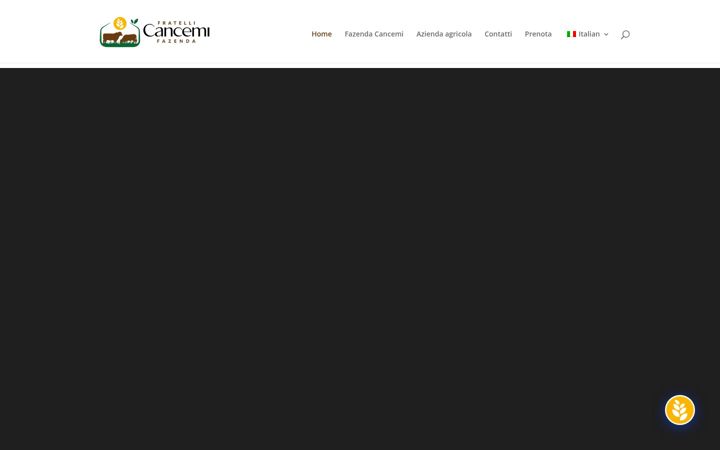 Screenshot ta' cancemi.it