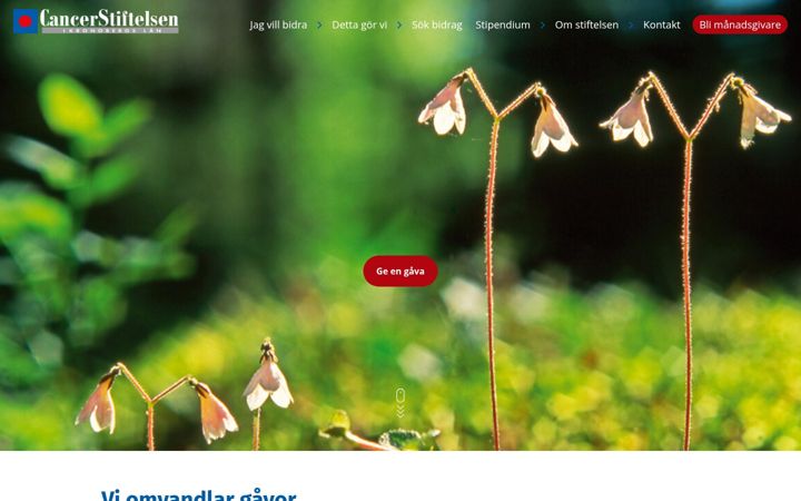 Screenshot of cancerstiftelsen-kronoberg.se