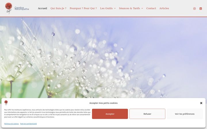 Screenshot of candice-naturopathe-cannes.fr