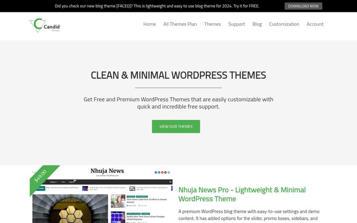 Zrzut ekranu candidthemes.com
