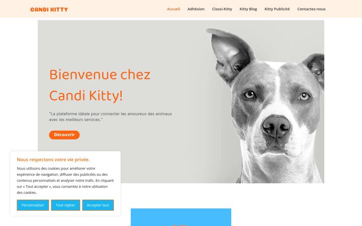 Screenshot of candikitty.com