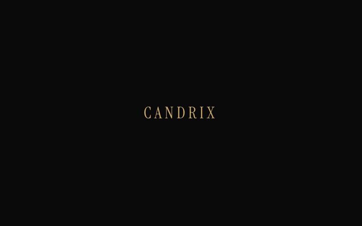 Screenshot of candrix.de