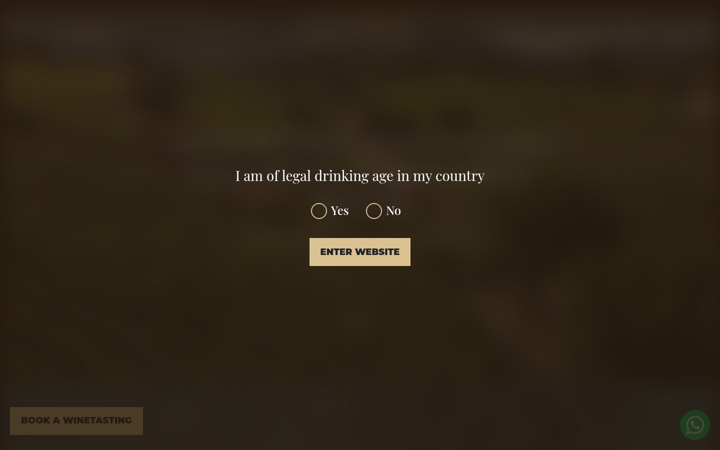 Snímka obrazovky banera súhlasu zobrazeného pred akoukoľvek interakciou