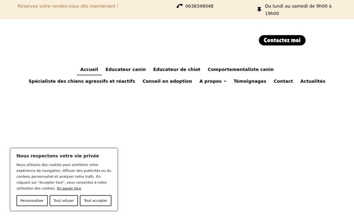Screenshot of cani-house.com