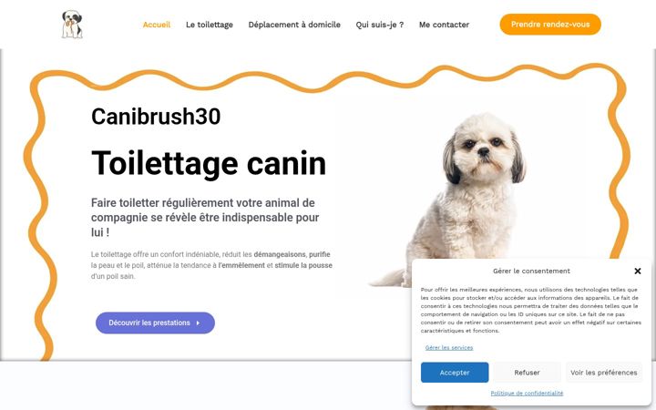 Screenshot of canibrush30.fr