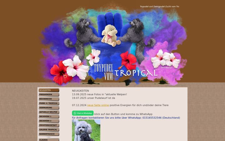 Screenshot of caniche-fuego.com