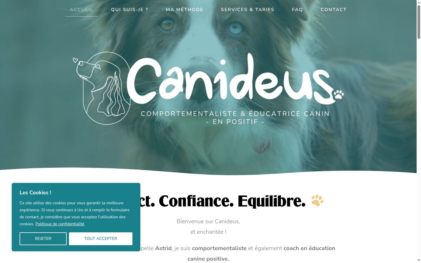 Capture d'écran de la bannière de consentement affichée avant toute interaction