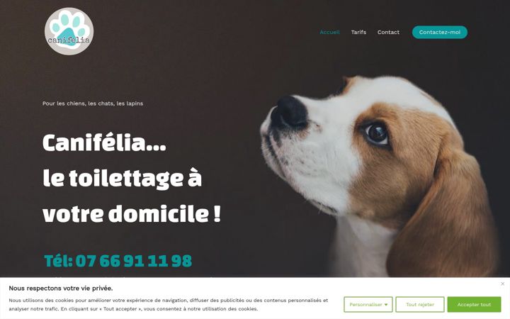 Screenshot of canifelia.fr