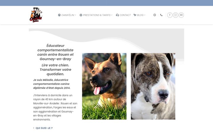 Screenshot of canifelin.fr
