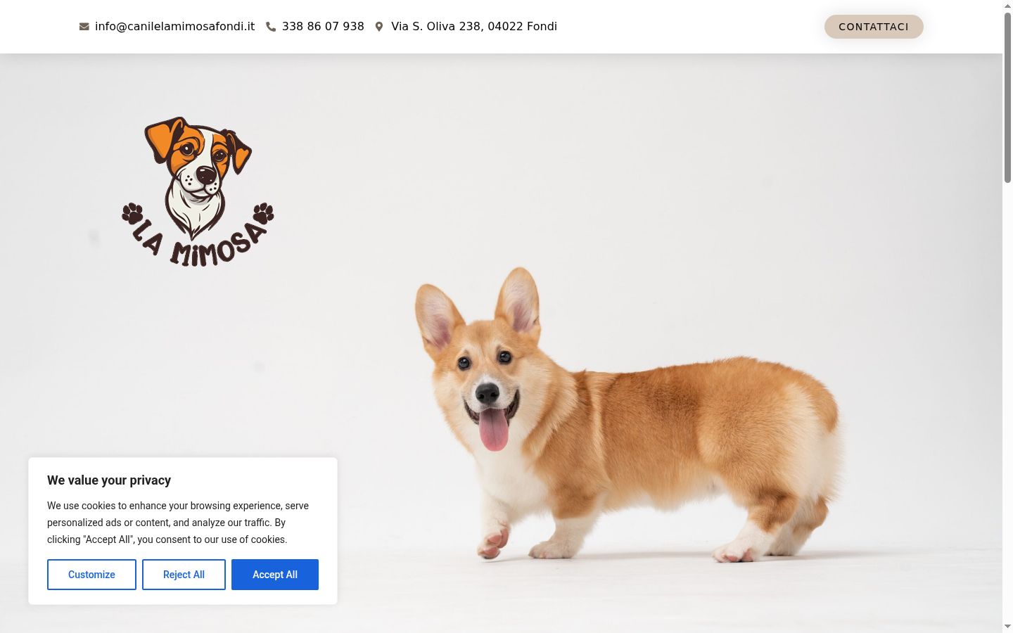 Screenshot del banner di consenso mostrato prima di qualsiasi interazione